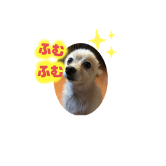 ga_saka_20220824224419