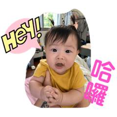 心芯寶寶