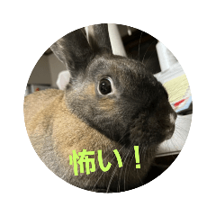 suzu_20220825002034