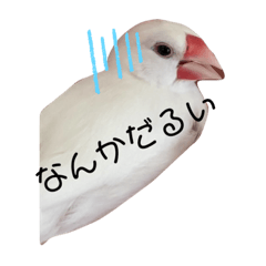 yuto_20220824223020