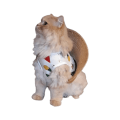 Danmochi