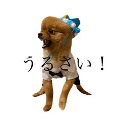 Hana_20220825032948