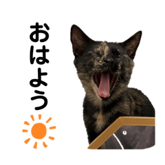 YAMAGATAAKITO_20220825012718