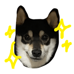 asako_20220825115605