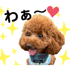 naho_20220825134320