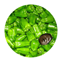 biirusuki_20220824185248