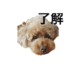 kuu_20220825124841