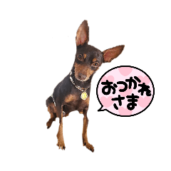 middy&mogu_20220825125046