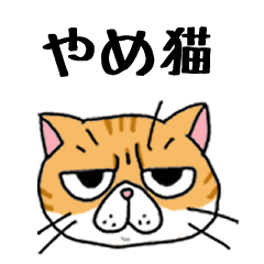 エキゾ猫ネルの八女弁・ちっご弁(福岡県)