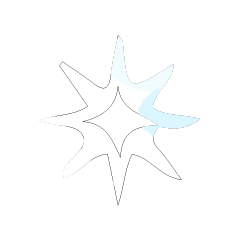 Colorful STAR_221