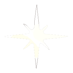 Colorful STAR_225