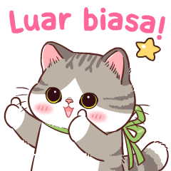 Meetung Cat animated : V. Indon