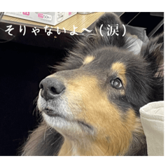 sei_20220825154336