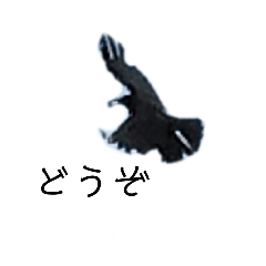 hatopopo_20220825195535