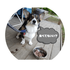 kuu_20220825194505