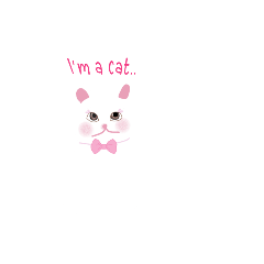 I'm a cat not a bunny