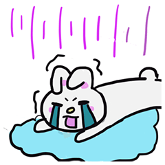 貓貓和兔兔的動物園