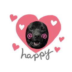 黑告米克斯-migi