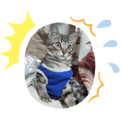 Tomomi_20220826111729