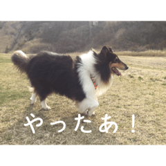 sei_20220826110558