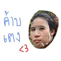 Wanvipa_20220826093359