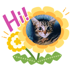 Tomomi_20220826102633