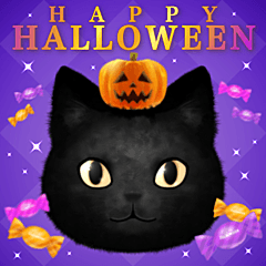 黒猫のハロウィン*かぼちゃとおばけ