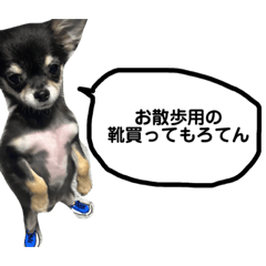 arisa_20220826195535