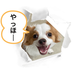 mizuki_20220826220808