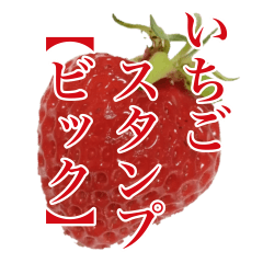 Strawberry photo stickers (BIC)