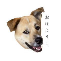 rinrin_20220826215024