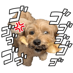 Yuka_20220826215807