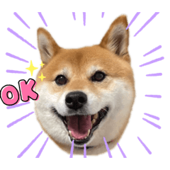 yuka_20220826222946