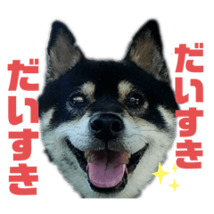 Hikari_20220826232046