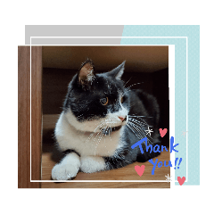 natsuneru_20220827000553