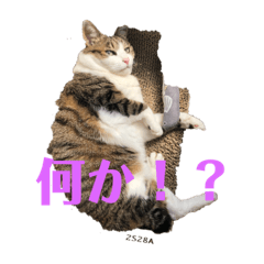 et_20220827002421