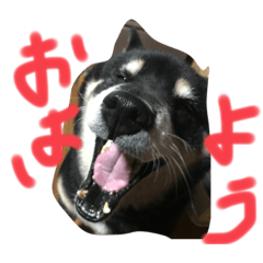 YUKARI_20220827003941