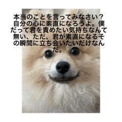 zaku_20220827115925