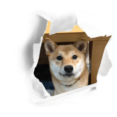 Sakurako_20220827113800