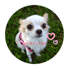 Rina_20220827123153