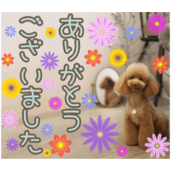 Eririn_20220827142132