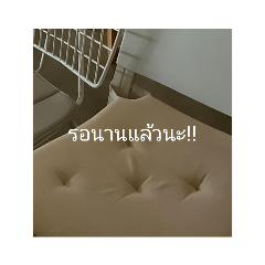 Alice_20220827101603