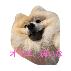 zaku_20220827012734