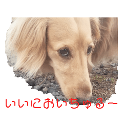 aran_20220827150710