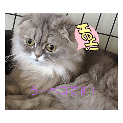 shin_20220827171835