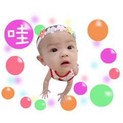 ㄎㄧㄤㄎㄧㄤ姐妹花