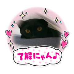 yuka_20220827175548