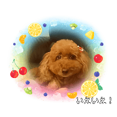 Ruby_20220827175432