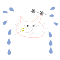 蓉蓉的日常問候語part2-喵喵篇