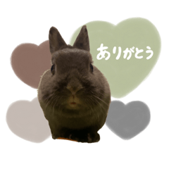 arisa_20220827193622